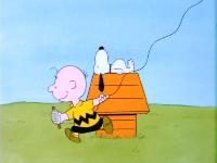 The Charlie Brown And Snoopy Show